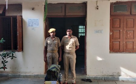 ଅବକାରୀ ଜାଲରେ ନିଶା ବେପାରୀ ; ୫୨ଗ୍ରାମ ବ୍ରାଉନସୁଗା ଜବତ