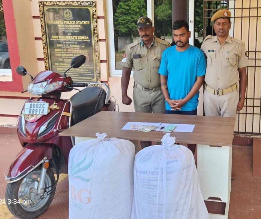 ଭଡ଼ା ଘରୁ ୩୫କେଜି ଗଞ୍ଜେଇ ସହ ୮ଲକ୍ଷର ବାଣ ଜବତ ; ଜଣେ ଗିରଫ