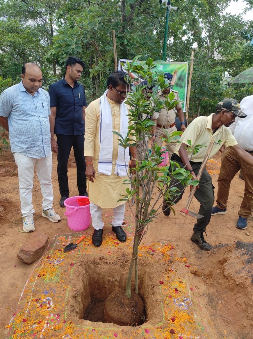 ଜଙ୍ଗଲ ମନ୍ତ୍ରୀ ଦ୍ୱାରା ଚାରାରୋପଣ