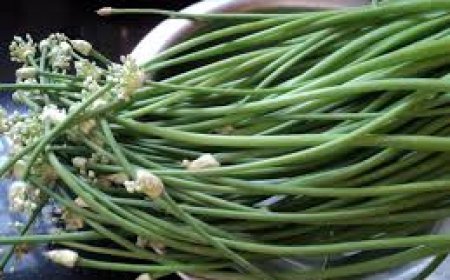 ସ୍ବାସ୍ଥ୍ୟପ୍ରଦ ପିଆଜ ଶଣ୍ଢା