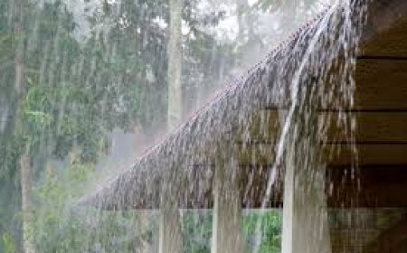 ଆଗାମୀ ୪ ଦିନ ଯାଏ ରାଜ୍ୟରେ ପ୍ରବଳ ବର୍ଷା