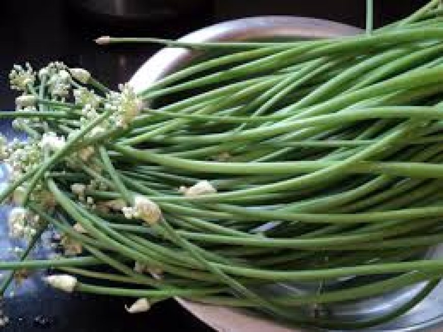 ସ୍ବାସ୍ଥ୍ୟପ୍ରଦ ପିଆଜ ଶଣ୍ଢା