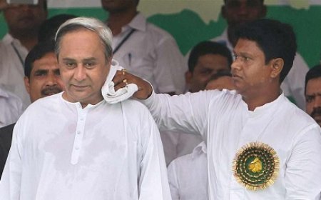 ବବିଙ୍କୁ ଭଲ ପାଉନାହାନ୍ତି ନବୀନ