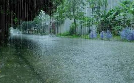 ବନ୍ୟା ପାଣି ପଶିଗଲା : ମାଛକୁଣ୍ଡ ଜଳ ବିଦ୍ୟୁତ ପ୍ରକଳ୍ପ ବନ୍ଦ