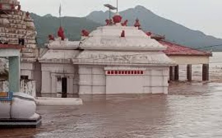 ଭଟ୍ଟାରିକା ବେଢା ଛୁଇଁଲା ବନ୍ୟାଜଳ