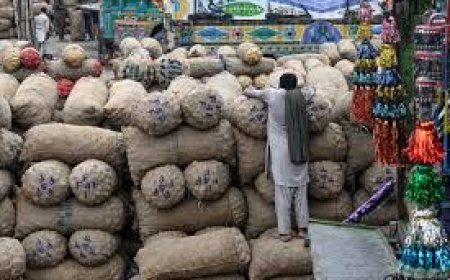 ୟପିରୁ ଆସିଲା ଆଳୁ ଗାଡ଼ି: ଆଳୁ ଟେନସନ ଦୂର ହେବ