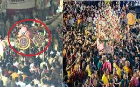 ବଡ଼ଠାକୁର ରଥ ଉପରେ ପଡ଼ିବା ଘଟଣା :  ତଦନ୍ତ ଆରମ୍ଭ