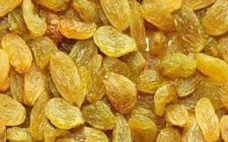 କିସ୍‌ମିସ୍‌  କମାଏ ମେଦବହୁଳତା