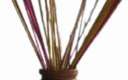 ଧୂପକାଠିର ଧୂଆଁ ଶରୀର ପାଇଁ କ୍ଷତିକାରକ