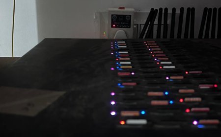 ରାଜଧାନୀରୁ ଧରା ପଡିଲା ସନ୍ଦିଗ୍ଧ ; ୭ ସିମ୍ ବକ୍ସ ଜବତ