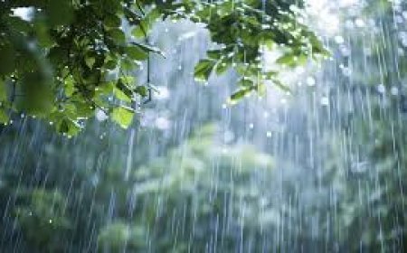 ଆସନ୍ତା ୫ ଦିନ ବର୍ଷା  ଜାରି