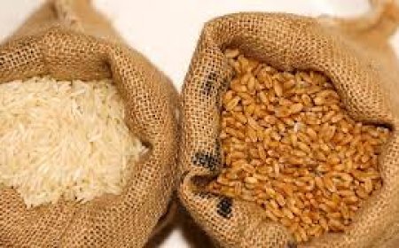 ବଡ଼ ଖବର: ପୁଣି ରାସନକାର୍ଡରେ ମିଳିବ ଗହମ