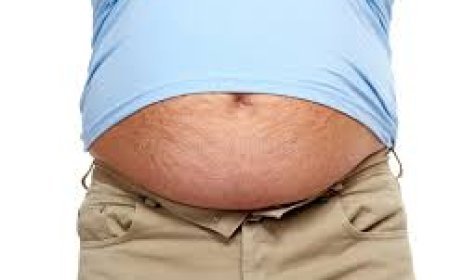 ପେଟ ବଢିବାକୁ ନେଇ ଚିନ୍ତିତ କି ?