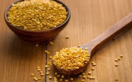 ମୋଟାପଣ ସମସ୍ୟାକୁ ଦୂର  କରେ ଡାଲି