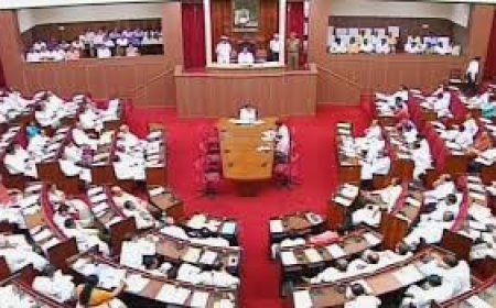 ବିଧାନସଭା ଦିନକ ଆଗରୁ ସରିଲା