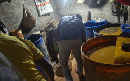 ପୁଲିସ ଓ ଅବକାରୀ ବିଭାଗ ପକ୍ଷରୁ ୨୪ଟି ବସ୍ତିରେ ରେଡ୍