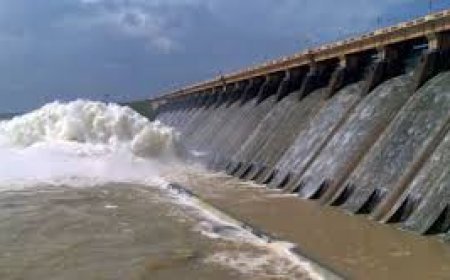 ଖୋଲିଲା ହୀରାକୁଦର ଆଉ ୮ଗେଟ