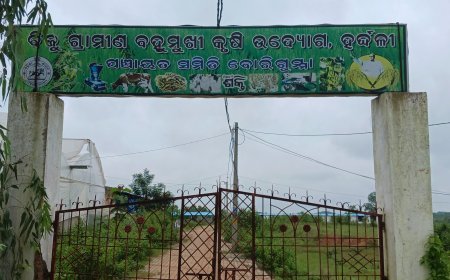 ବୋରିଗୁମ୍ମା ବ୍ଲକ୍ ପ୍ରଶାସନର ଠିକାଦାର ପୋଷଣ ନୀତି :-  "ସରକାର କା ମାଲ୍ ,ଦରିଆ ମେଁ ଡାଲ୍ ?!!!"