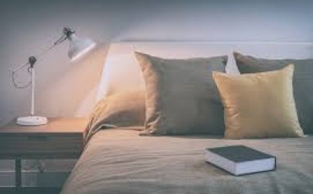 ଶୟନ କକ୍ଷରେ କ’ଣ ରଖିବେ ଜାଣନ୍ତୁ.....