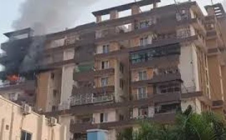 ରାଜଧାନୀରେ ଭଙ୍ଗାହେବ ୧୯୧ ଆପାର୍ଟମେଣ୍ଟ