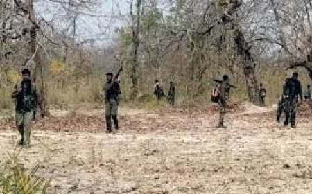 ଛତିଶଗଡ଼ ରେତେଗାଓଁରେ ଏନକାଉଣ୍ଟର: ଟଳିଲେ ଦୁଇ ନକ୍ସଲ ଲିଡର