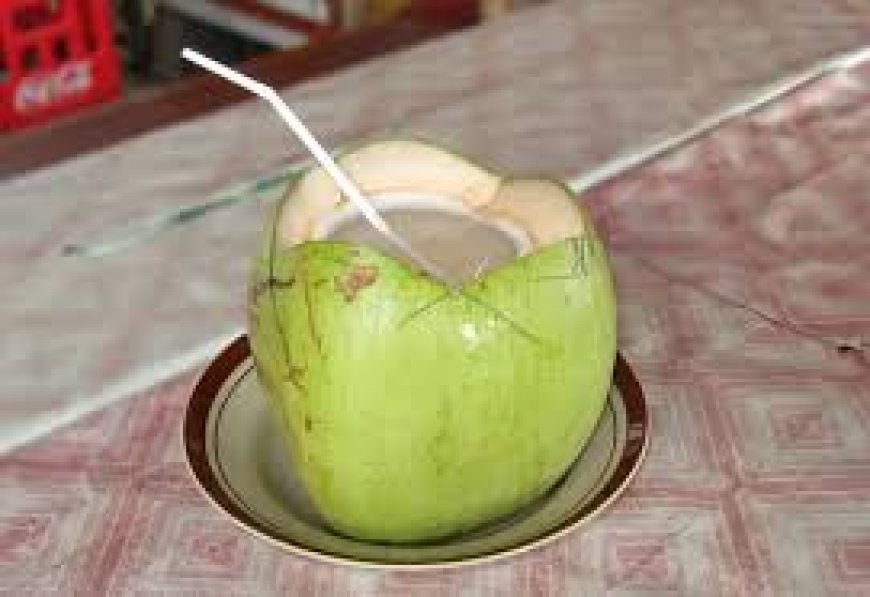 ରୋଗ ପ୍ରତିରୋଧ ଶକ୍ତି ବଢ଼ାଏ ନଡ଼ିଆ ପାଣି
