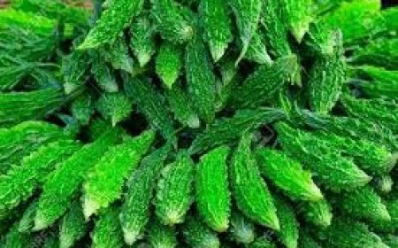 ଜିନିଷ ଏକ: ଉପକାର ଅନେକ-କଲରା