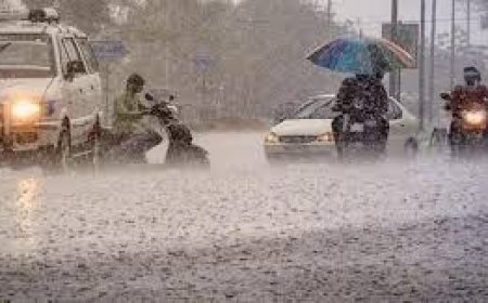 ଏବେ ୯ ଜିଲ୍ଲାରେ ନିଅଣ୍ଟିଆ