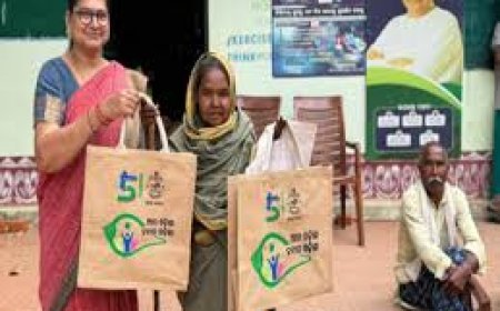 ଖର୍ଚ୍ଚ ସାମ୍ନାକୁ ଆସିଛି ବଡ଼ ତଥ୍ୟ, ଝୋଟ ବ୍ୟାଗ୍ରେ ହୋଇଥିଲା କେତେ  ଖର୍ଚ୍ଚ?