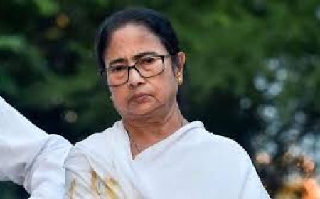 ମମତାଙ୍କୁ ପଦରୁ ହଟାଯିବାର ପ୍ଲାନ କରୁଥିଲେ ୫ଜଣ