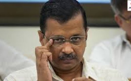 ମୁଖ୍ୟମନ୍ତ୍ରୀଙ୍କ ଓକିଲ :କେଜ୍‌ରିଓ୍ବାଲ୍‌ ସମାଜ ପାଇଁ ବିପଦ ନୁହେଁ