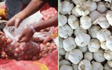 ନିୟନ୍ତ୍ରଣ ବାହାରେ ପିଆଜ, ରସୁଣ ଦର