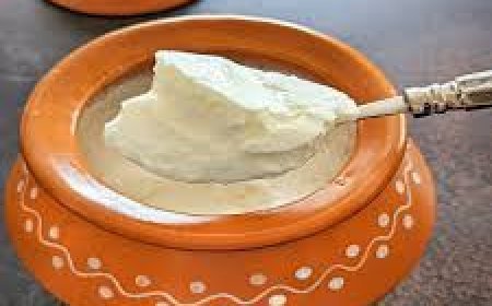 ଭୁଲ୍‌ରେ ବି ଦହି ସହିତ ଖାଆନ୍ତୁ ନାହିଁ ଏସବୁ ଖାଦ୍ୟ