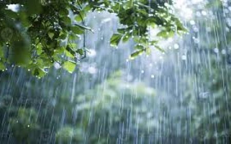 ଏଥର ବର୍ଷାରେ ଦଶହରାରେ ଲଘୁଚାପ