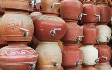 ଘରେ ରଖନ୍ତୁ ସୁରେଇ, ଆଣିବ ସୌଭାଗ୍ୟ…