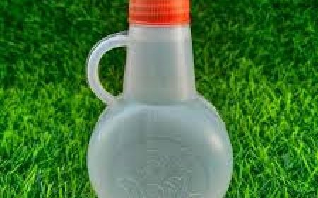 ଘରେ ଗଙ୍ଗାଜଳ ରଖୁଥିଲେ ଜାଣିରଖନ୍ତୁ ଏସବୁ ନିୟମ