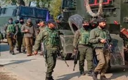 ନୋସେରା ସୀମା ଦେଇ ଅନୁପ୍ରବେଶ ଉଦ୍ୟମ ପଣ୍ଡ, ଟଳିଲେ ୨ଆତଙ୍କବାଦୀ