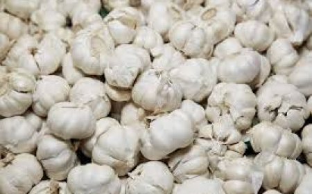 ୧୪ଶହ କୁଇଣ୍ଟାଲ ଚାଇନିଜ ରସୁଣ ଜବତ