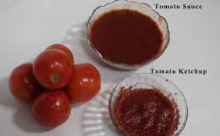 ଟମାଟୋ ସସ କେଚଅପ ଭିତରେ ପାର୍ଥକ୍ୟ କ’ଣ?
