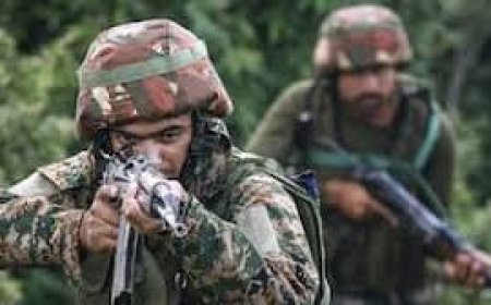 ସୀମାରେ ଏନକାଉଣ୍ଟର; ୨ ଯବାନ ଶହୀଦ