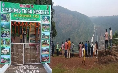 ଶିମିଳିପାଳରେ ପ୍ରବଳ ବର୍ଷା, ବନ୍ୟଜନ୍ତୁଙ୍କୁ ନେଇ ଚିନ୍ତା