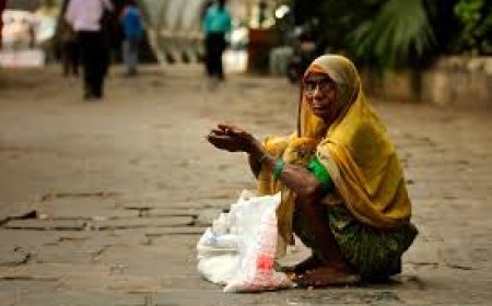 କେଉଁ ଜିଲ୍ଲାରେ ଅଛନ୍ତି କେତେ ଭିକାରୀ