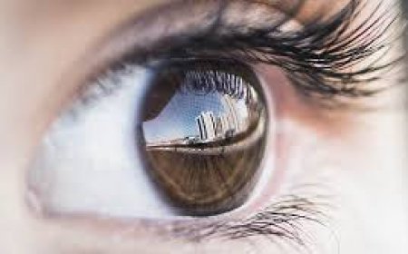 ବ୍ୟବସାୟୀଙ୍କ ମୃତୁ୍ୟ, ଚକ୍ଷୁଦାନ କଲେ ପରିବାର