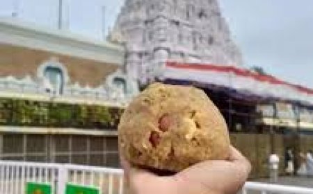 ତିରୁପତି ବାଲାଜୀଙ୍କ ପ୍ରସାଦ ଲଡୁ ପବିତ୍ର