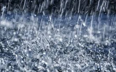 ଚାନ୍ଦବାଲିରେ ବର୍ଷାର ରେକର୍ଡ