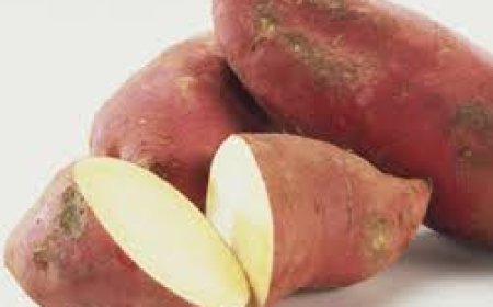 ବେଶ୍‌ ଉପକାରୀ କନ୍ଦମୂଳ