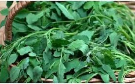 ଅର୍ଶରୁ ଦୂରେଇ ରଖେ ଏହି ଶାଗ