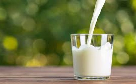 କ୍ଷୀର ପିଇବା ଶରୀର ପାଇଁ କେତେ ଲାଭଦାୟକ