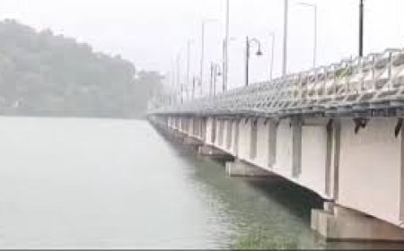 ଫୁଲୁଛି ଗୁରୁପ୍ରିୟା : ଲଗାଣ ବର୍ଷା