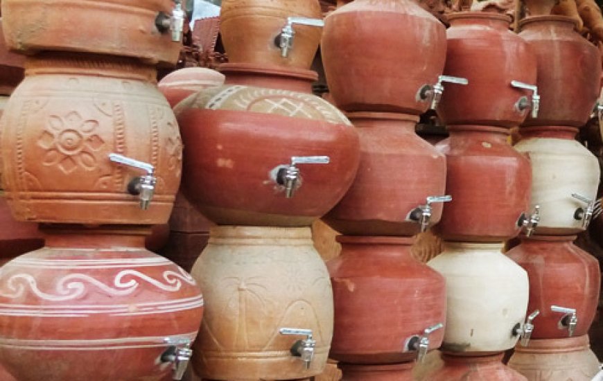 ଘରେ ରଖନ୍ତୁ ସୁରେଇ, ଆଣିବ ସୌଭାଗ୍ୟ…